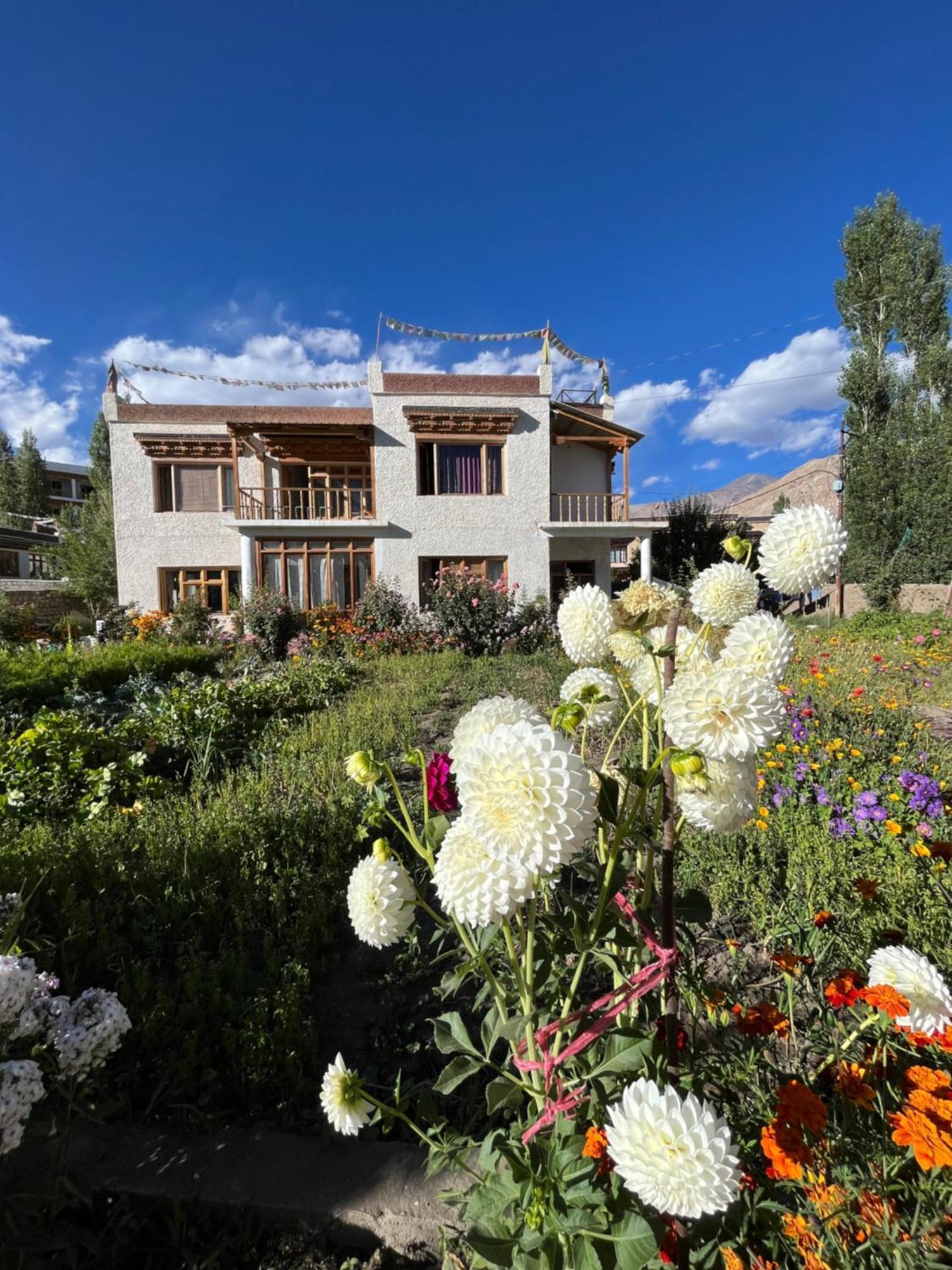 Hotel Chakzot Garden House Léh Exteriér fotografie